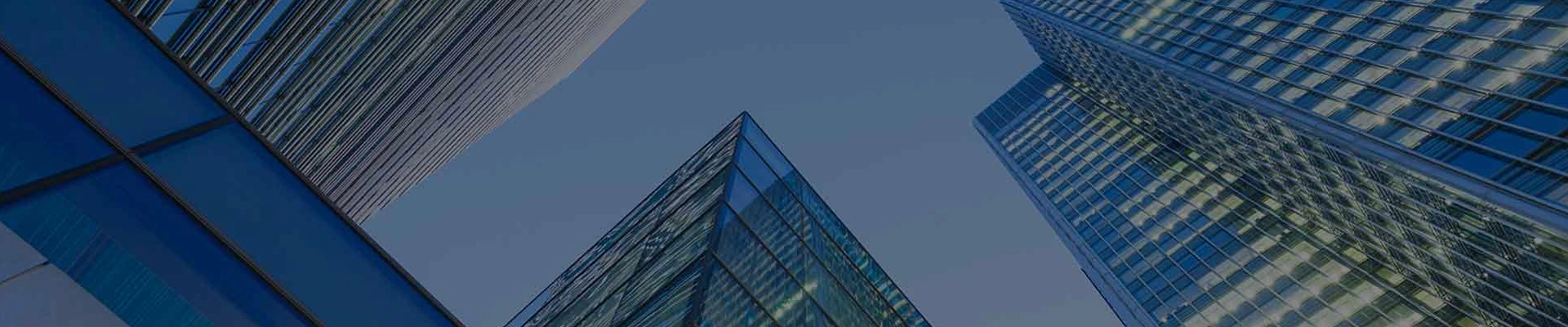 Company Profile