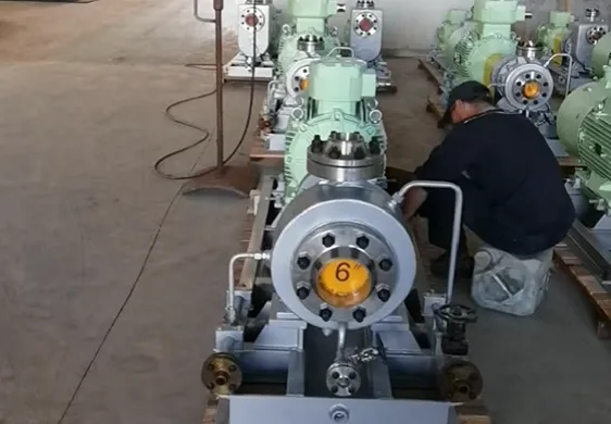 OH1 pump with heating jacket